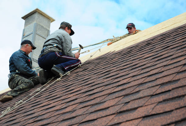 Gutter Installation and Roofing in Lakeshore, LA